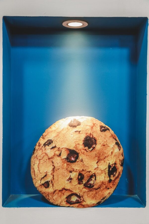 chocolate-chip-cookie-cookie-delicious-1848973 third party cookies